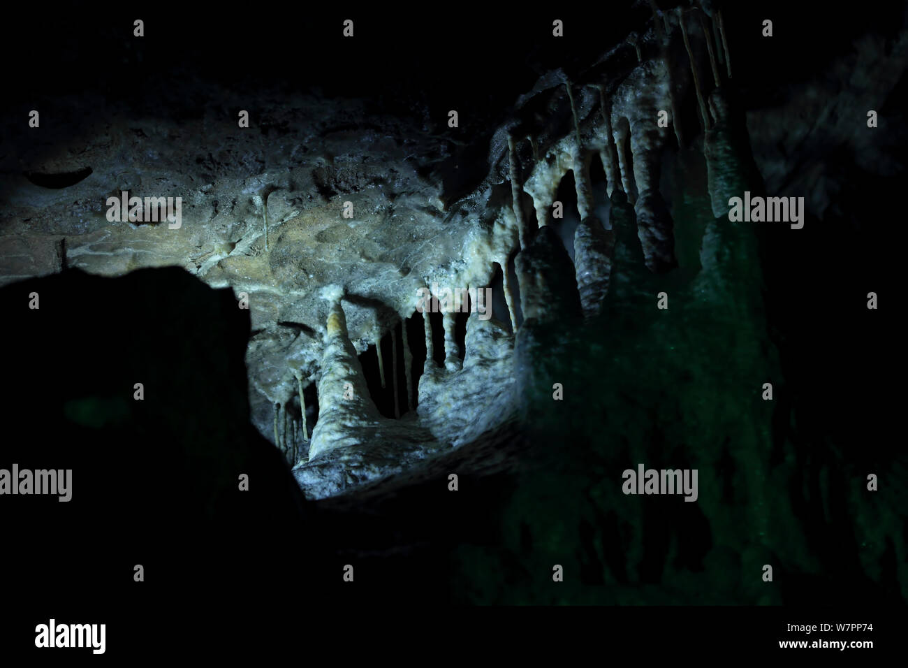 Poole's Cavern. Buxton Peak District, Derbyshire, Regno Unito, dicembre. Foto Stock