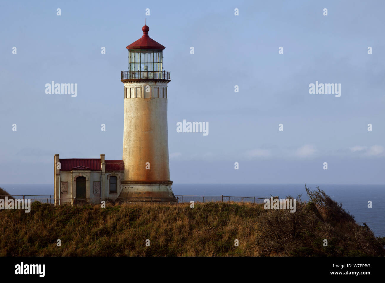 Nord Capo Faro di Cape delusione del parco statale. Washington, Stati Uniti d'America, Agosto 2012. Foto Stock