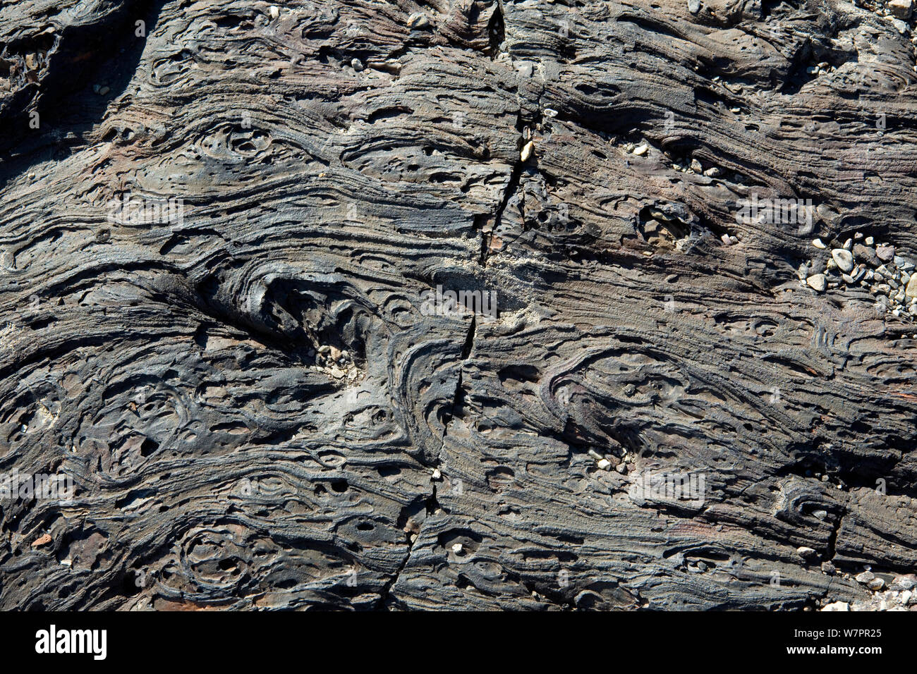Lava pahoehoe formazioni lungo il cratere Nord Sentiero di flusso nei crateri della luna monumento nazionale e preservare. Idaho, Stati Uniti d'America, Luglio 2011 Foto Stock