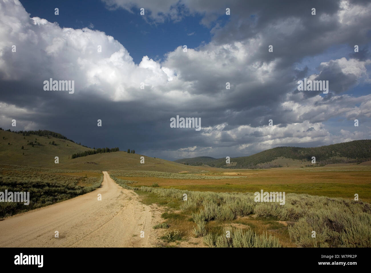 Road n. 653 nell'Sawtooth National Recreation Area. Idaho, Stati Uniti d'America, Luglio 2011 Foto Stock