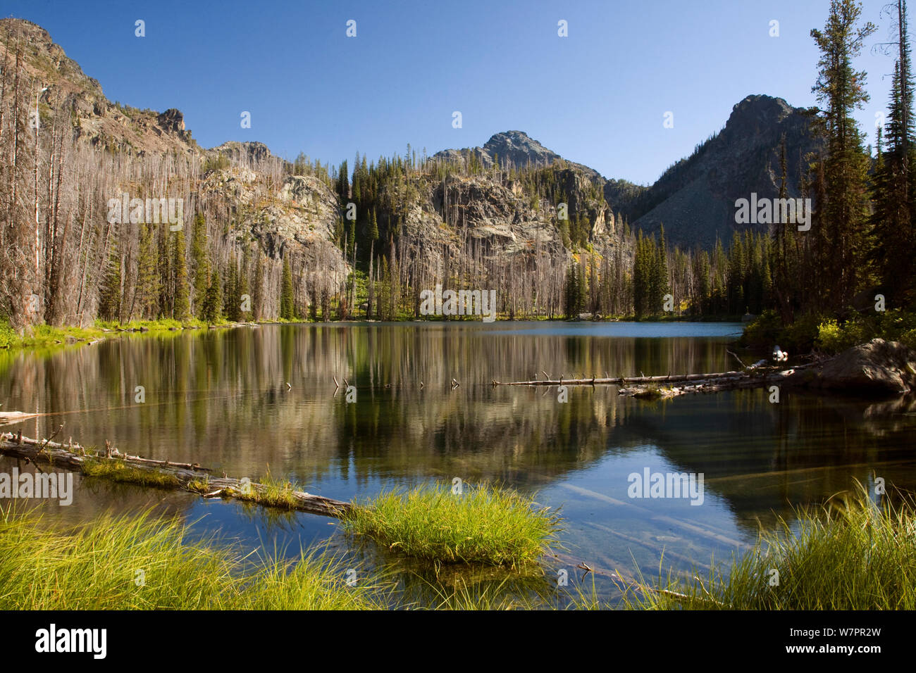 Lago di Echo in sette demoni montagne - parte dei sette demoni - Hells Canyon Wilderness Area, Idaho, Stati Uniti d'America, Settembre 2011 Foto Stock