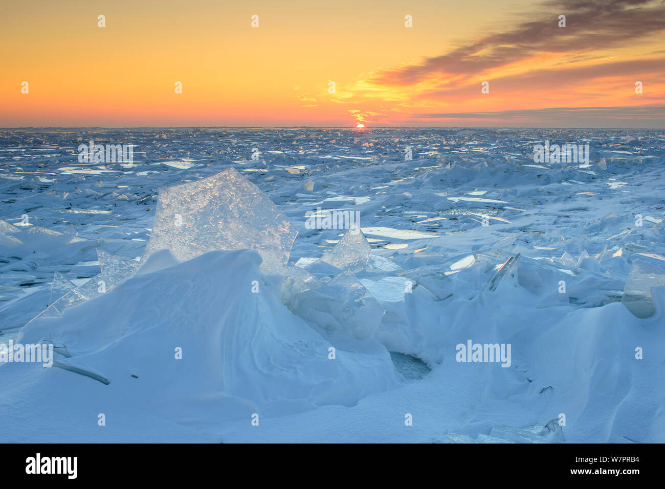 Alba sul lago ghiacciato Peipsi, con foglio di formazioni di ghiaccio causata dal vento forte. Estonia orientale, Dicembre 2012 Foto Stock