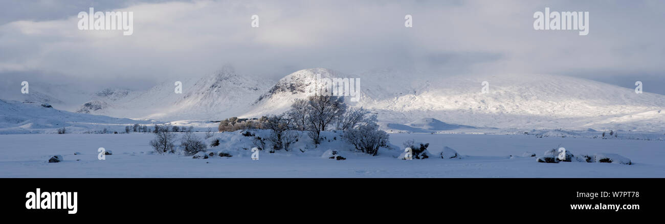 Rannock Moor ricoperta di neve, Scozia, Gennaio 2010. Ex libris da Danny Green " Il Lungo Viaggio Verso nord' Foto Stock