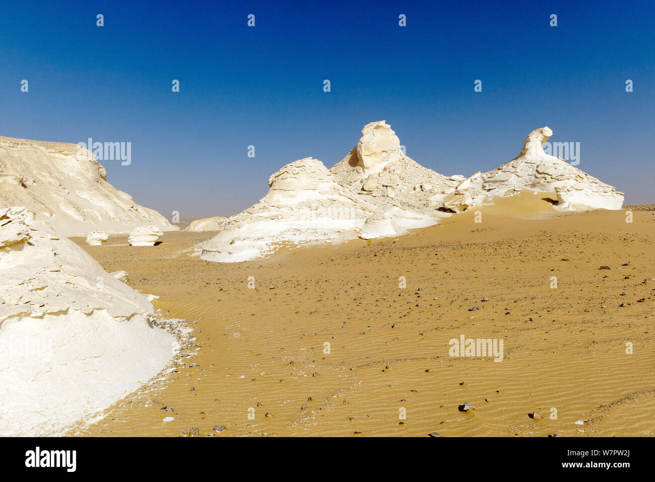 Chalk formazioni rocciose causate da tempeste di sabbia, bianco deserto del Sahara, Egitto, Febbraio 2009 Foto Stock