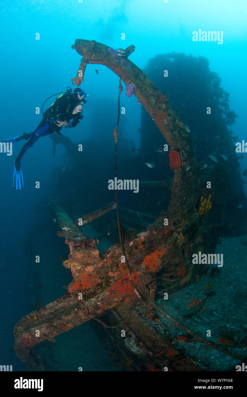 Subacqueo sul relitto di HMNZS Canterbury, Baia delle Isole, Nuova Zelanda, Gennaio 2013. Modello rilasciato. Foto Stock