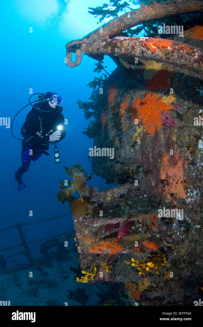 Subacqueo sul relitto di HMNZS Canterbury, Baia delle Isole, Nuova Zelanda, Gennaio 2013. Modello rilasciato. Foto Stock