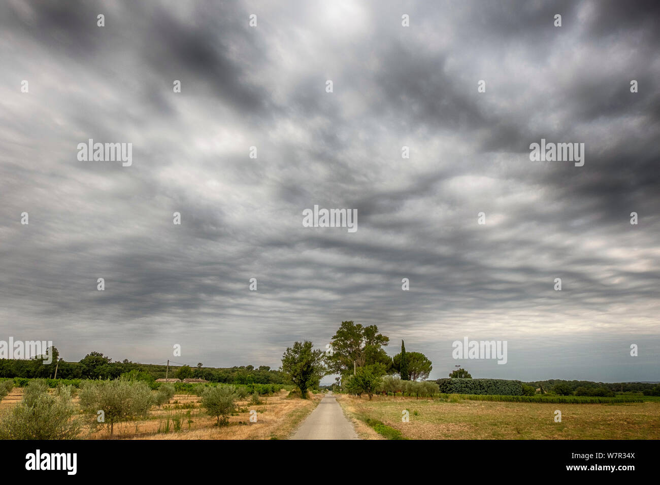 Estate Nimbostratus nuvole sopra Sablet vigneto nella Cotes du Rhone, Vaucluse, Francia Foto Stock