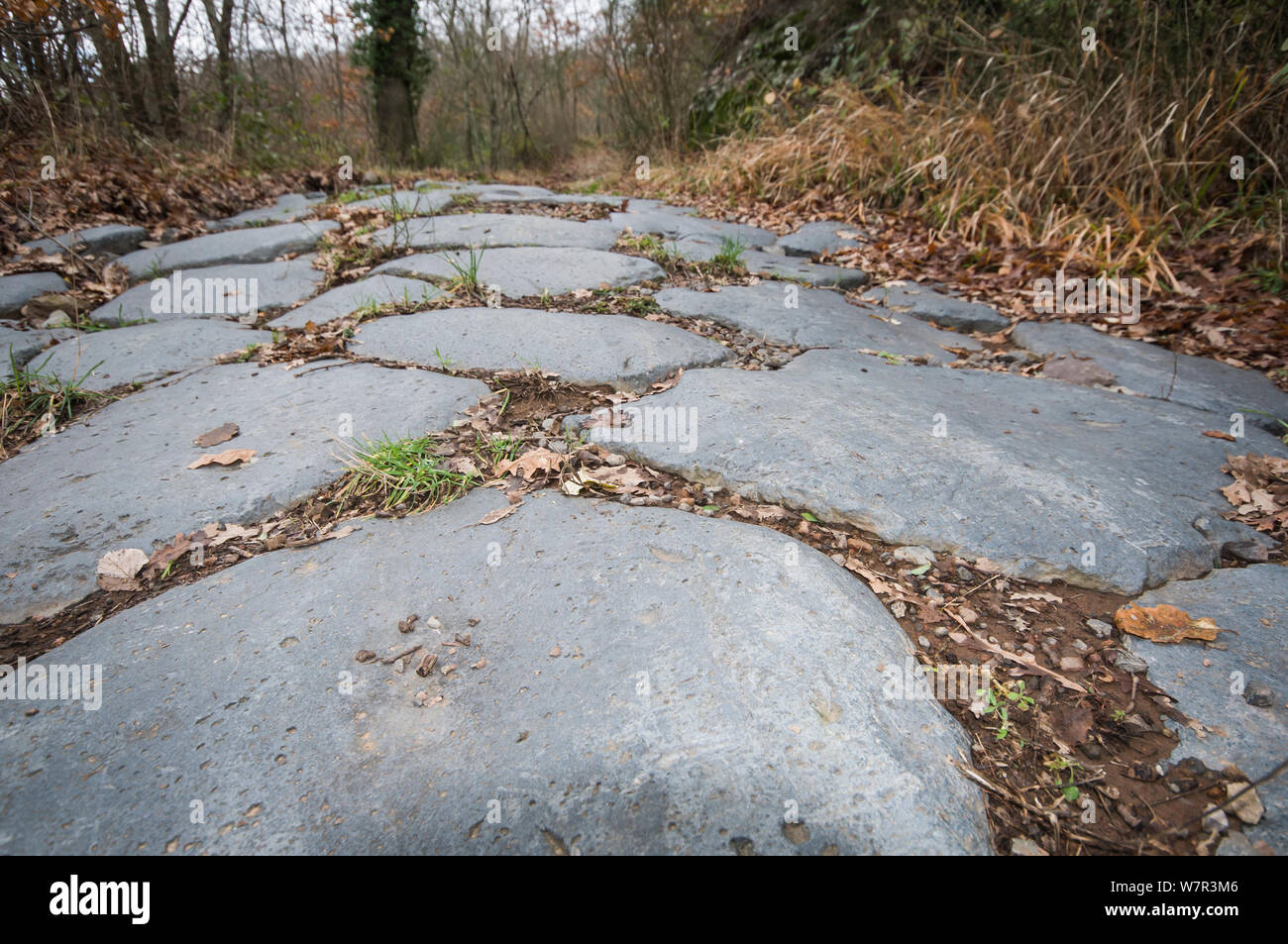 Antica Strada Romana realizzato in basalto vicino a Bolsena, Lazio. L'Italia, Settembre Foto Stock