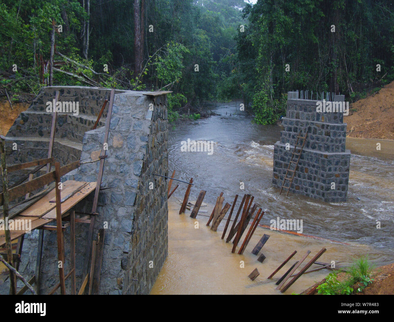 Foresta pluviale africana la penetrazione di trasporto - la costruzione della strada e infrastruttura associata consentendo di accedere a precedentemente regioni isolate. Il Camerun, Africa centrale, Agosto 2009. Foto Stock