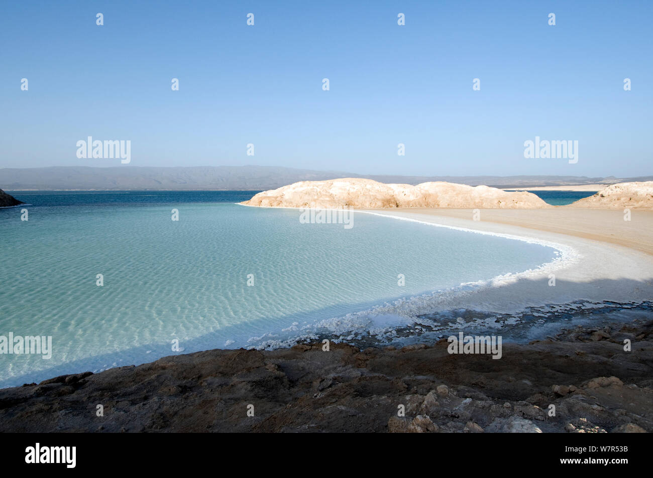Il lago Assal - Africas punto più basso a 515 metri sotto il livello del mare , con concentrazioni di densa di sale sul litorale - Djiboutim , marzo 2008 Foto Stock