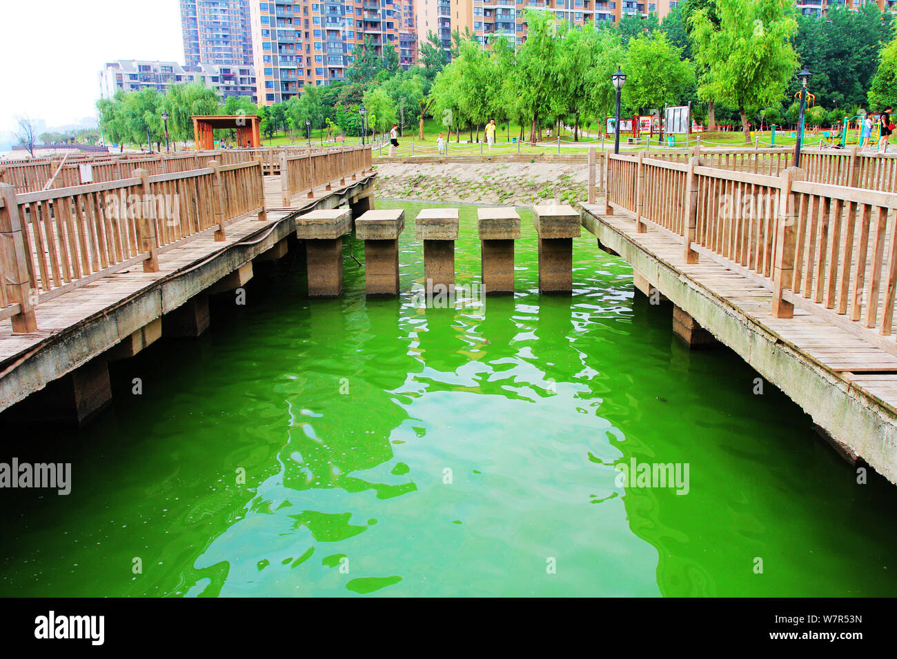 Vista di un focolaio di alghe blu-verdi sul lago Chaibo nella città di Wuhan, Cina centrale della provincia di Hubei, 3 giugno 2017. Un focolaio di blu-verde alg Foto Stock