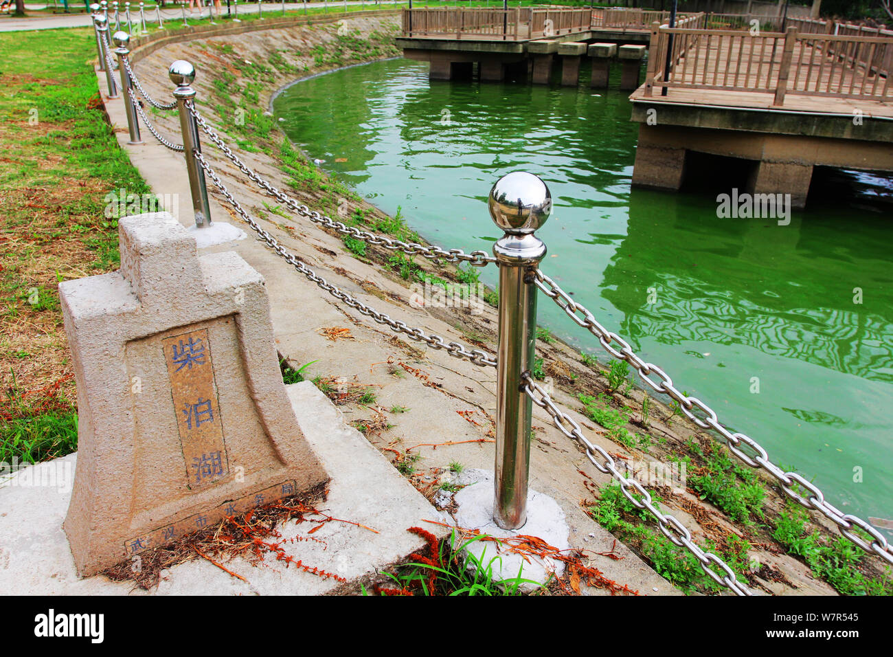 Vista di un focolaio di alghe blu-verdi sul lago Chaibo nella città di Wuhan, Cina centrale della provincia di Hubei, 3 giugno 2017. Un focolaio di blu-verde alg Foto Stock