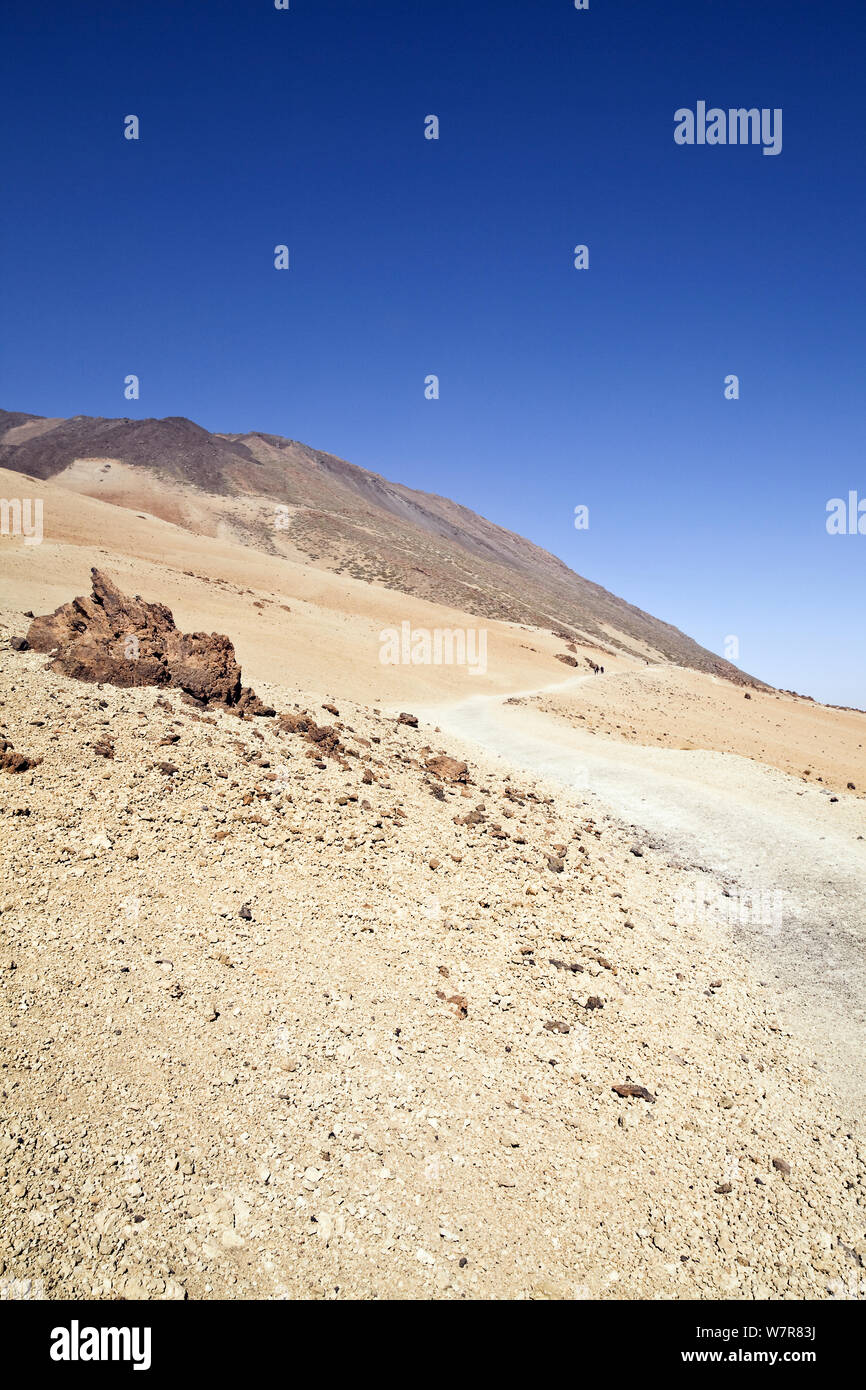 Il sentiero per il Monte Teide, Parco Nazionale di Teide Tenerife, Isole Canarie, Spagna, Marzo 2012. Foto Stock