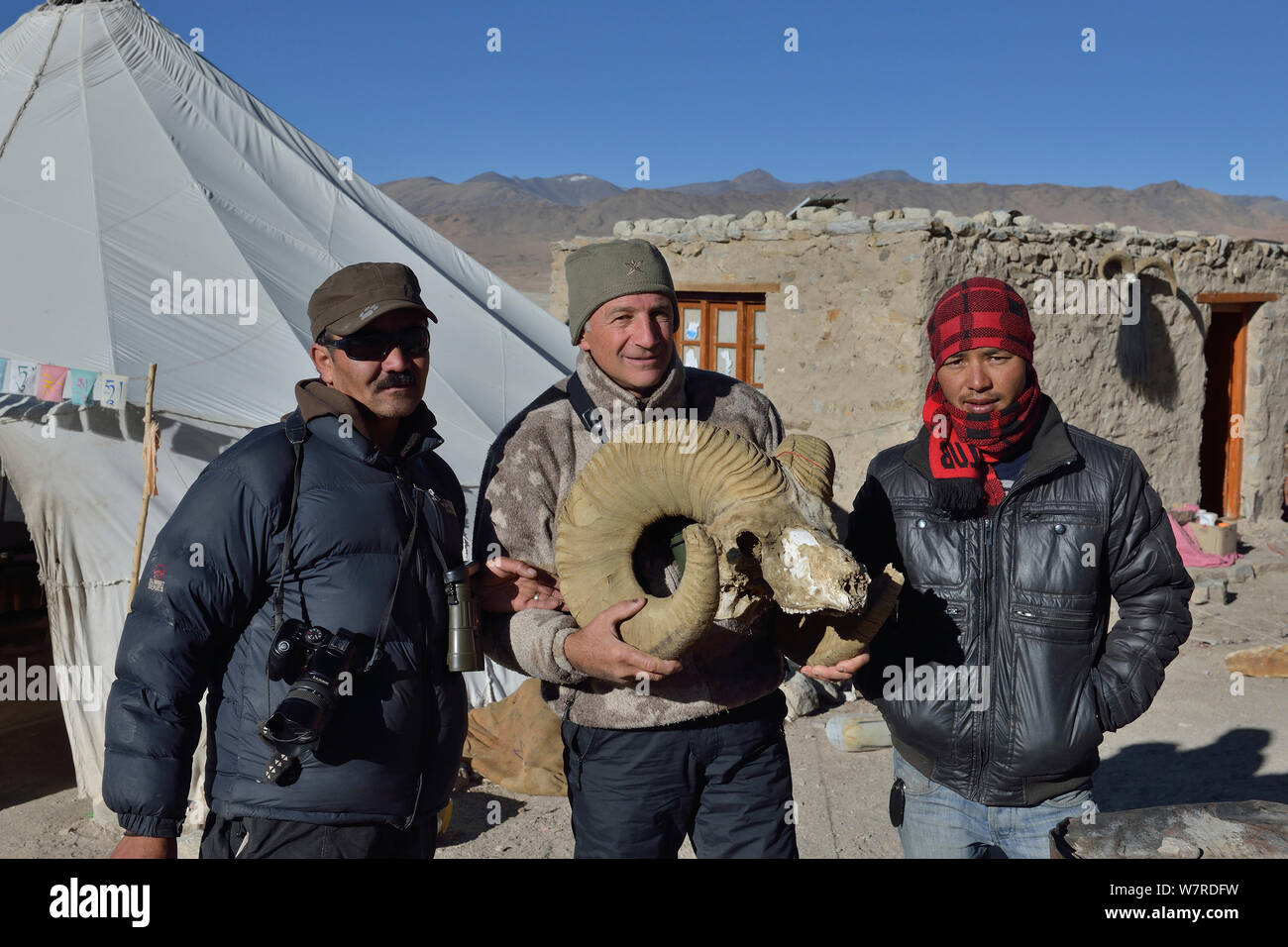 Il fotografo Eric Dragesco holding Argali tibetano cranio (Ovis ammon hodgsoni), con guide, ChangThang, Tso Kar lago, ad un'altitudine di 4600m, Ladakh, India, ottobre 2012 Foto Stock