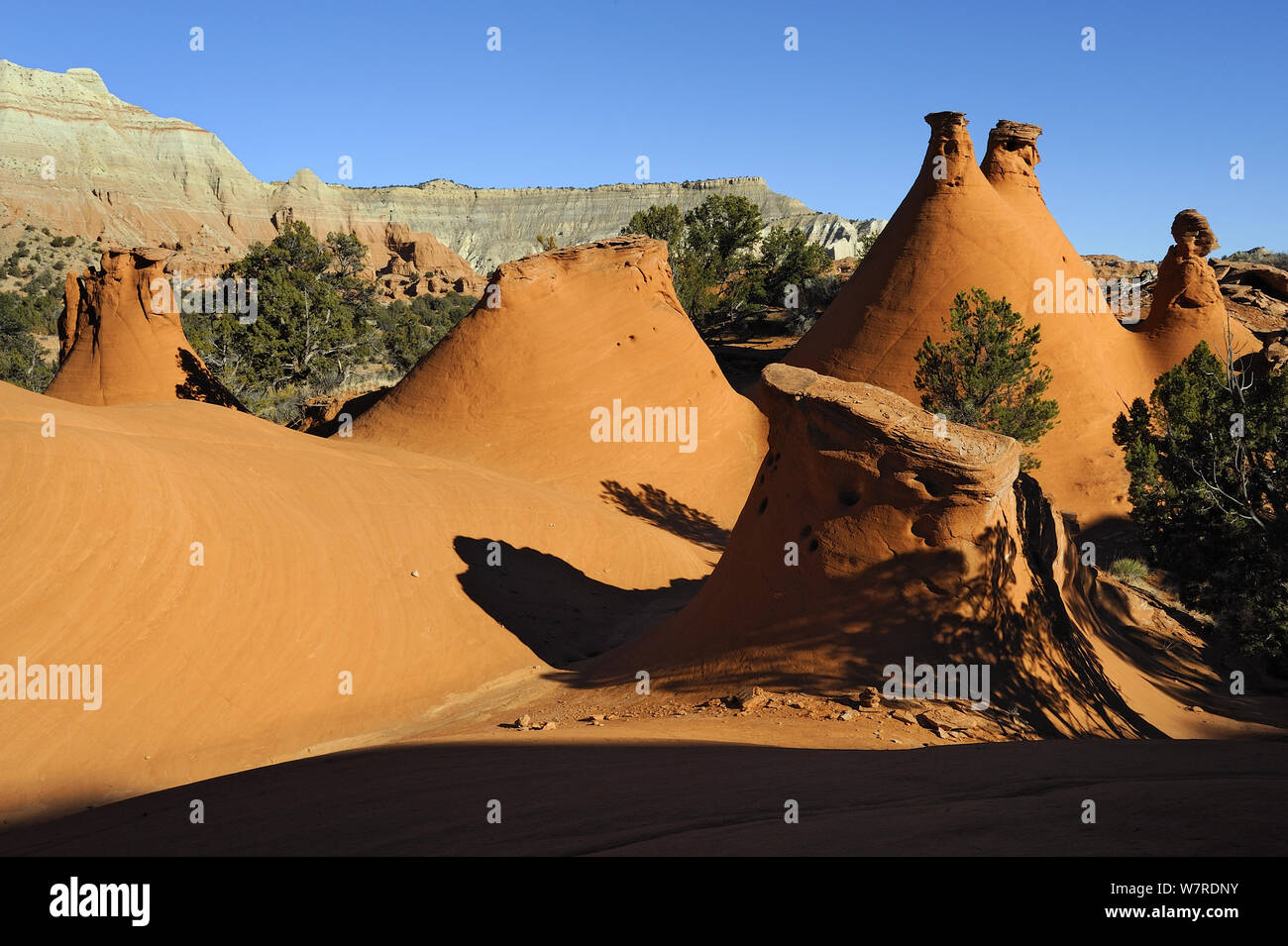 I monoliti di pietra arenaria, Colorado Plateau, Kodachrome Basin State Park, Utah, Stati Uniti d'America novembre 2012 Foto Stock