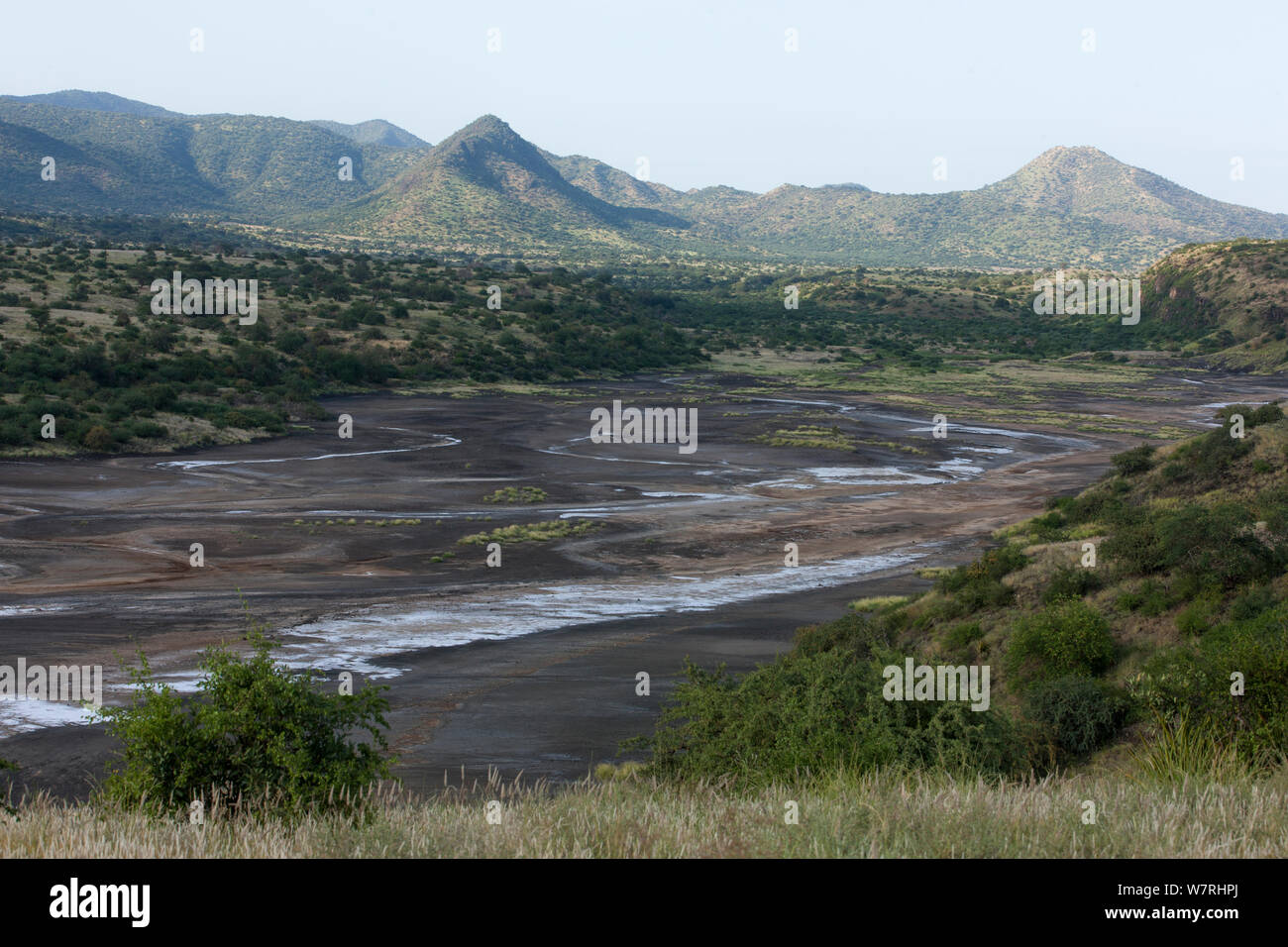 Paesaggio del Lago Magadi in stagione piovosa del Kenya, Rift Valley Kenya Foto Stock