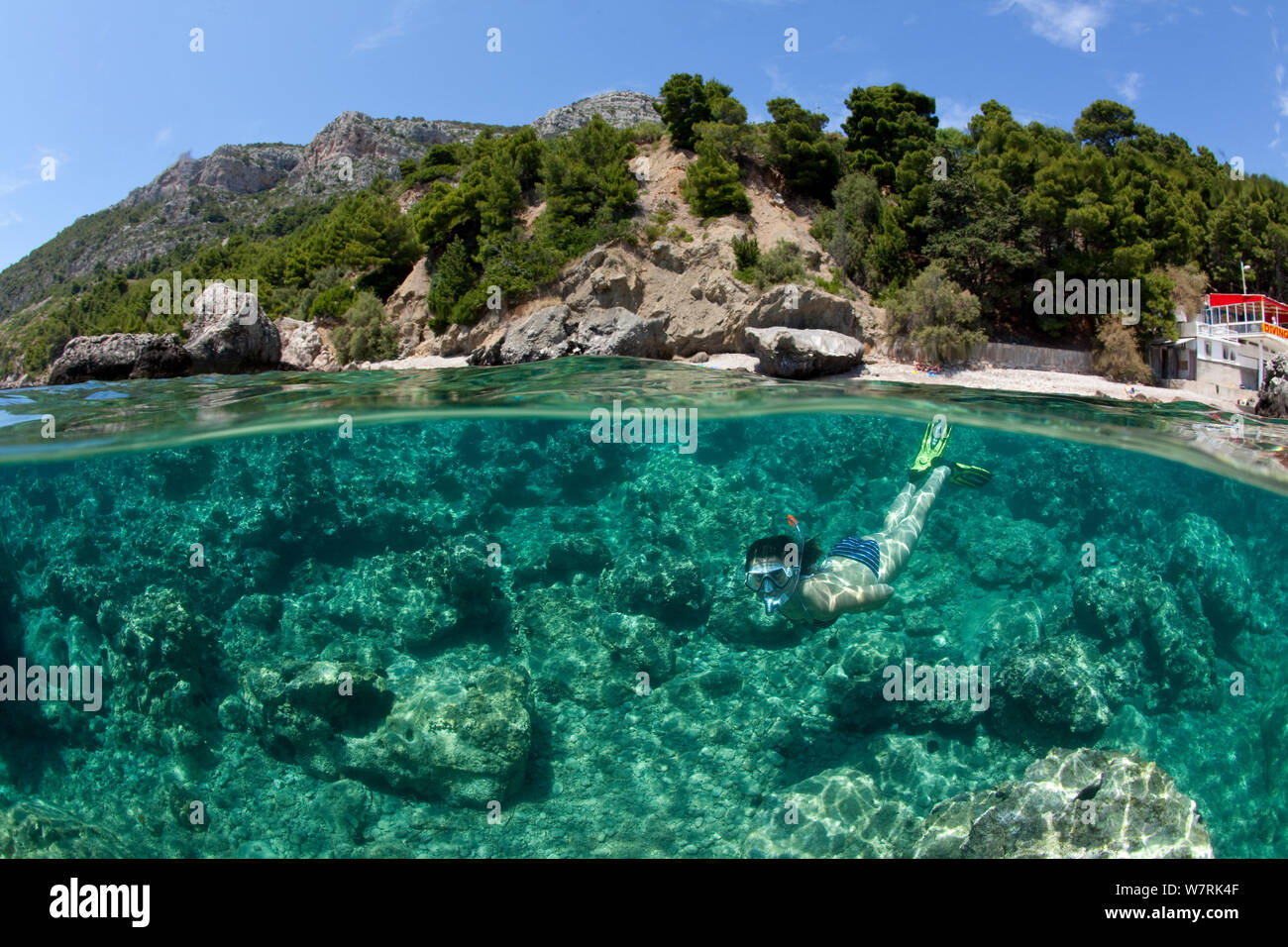 La donna lo snorkeling di fronte alla spiaggia di Komiza, Isola di Vis, Croazia, Mare Adriatico, Mediterranea Foto Stock