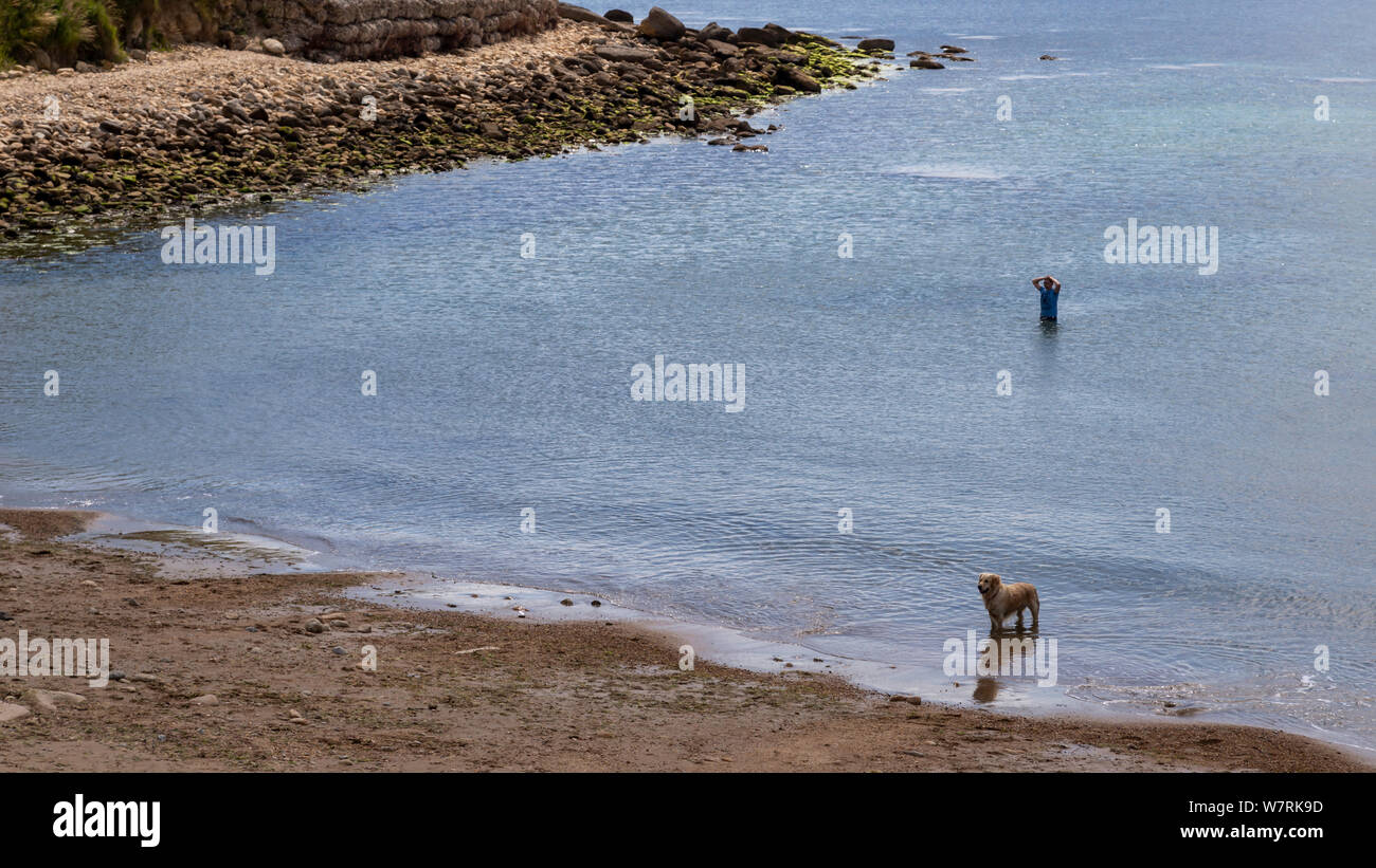 Uomo in mare con il cane in inglese costa vicino a Weymouth Foto Stock