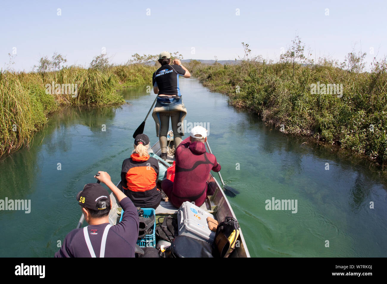 Gruppo in piccole barche a remi in cerca di anaconda, con attrezzatura fotografica, Formoso River, Bonito, Mato Grosso do Sul, Brasile Foto Stock