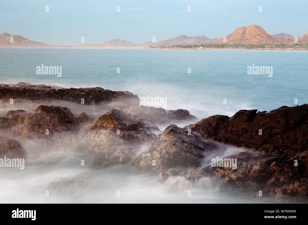 Cabo Pulmo, il Parco Nazionale del Mare di Cortez (Golfo di California), Messico, Luglio Foto Stock