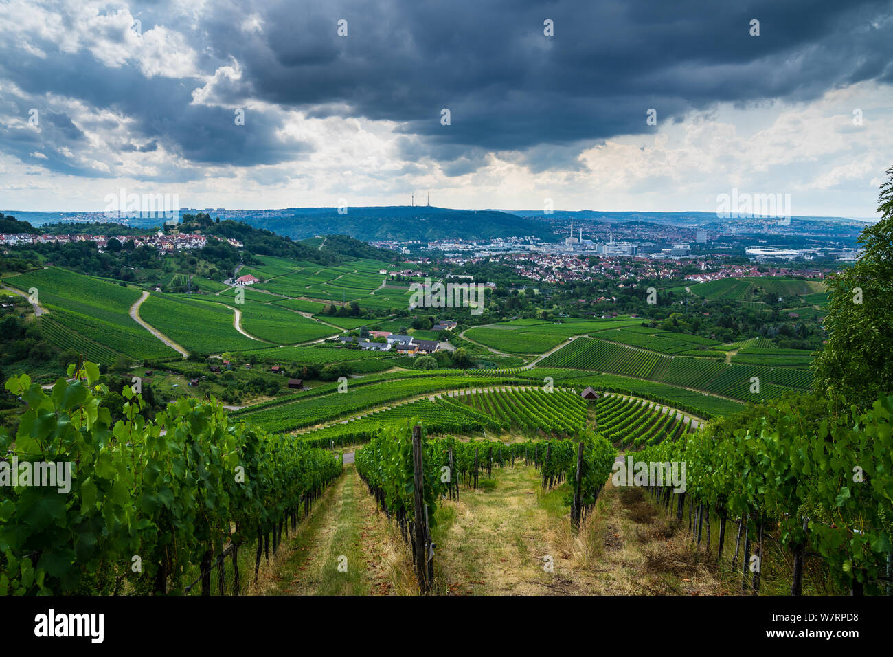 Germania, verde di vigneti al di sopra della città di Stoccarda nel bacino nel periodo estivo con cielo drammatico di venire thundery parte anteriore Foto Stock