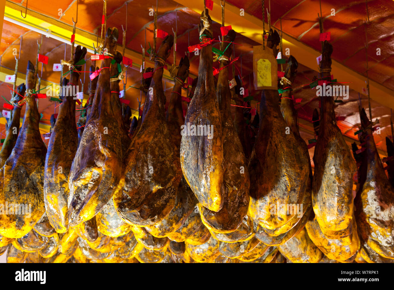 Prosciutto Iberico gambe, indurimento della Sierra de Aracena parco naturale, Huelva, Andalusia, Spagna, Europa Foto Stock