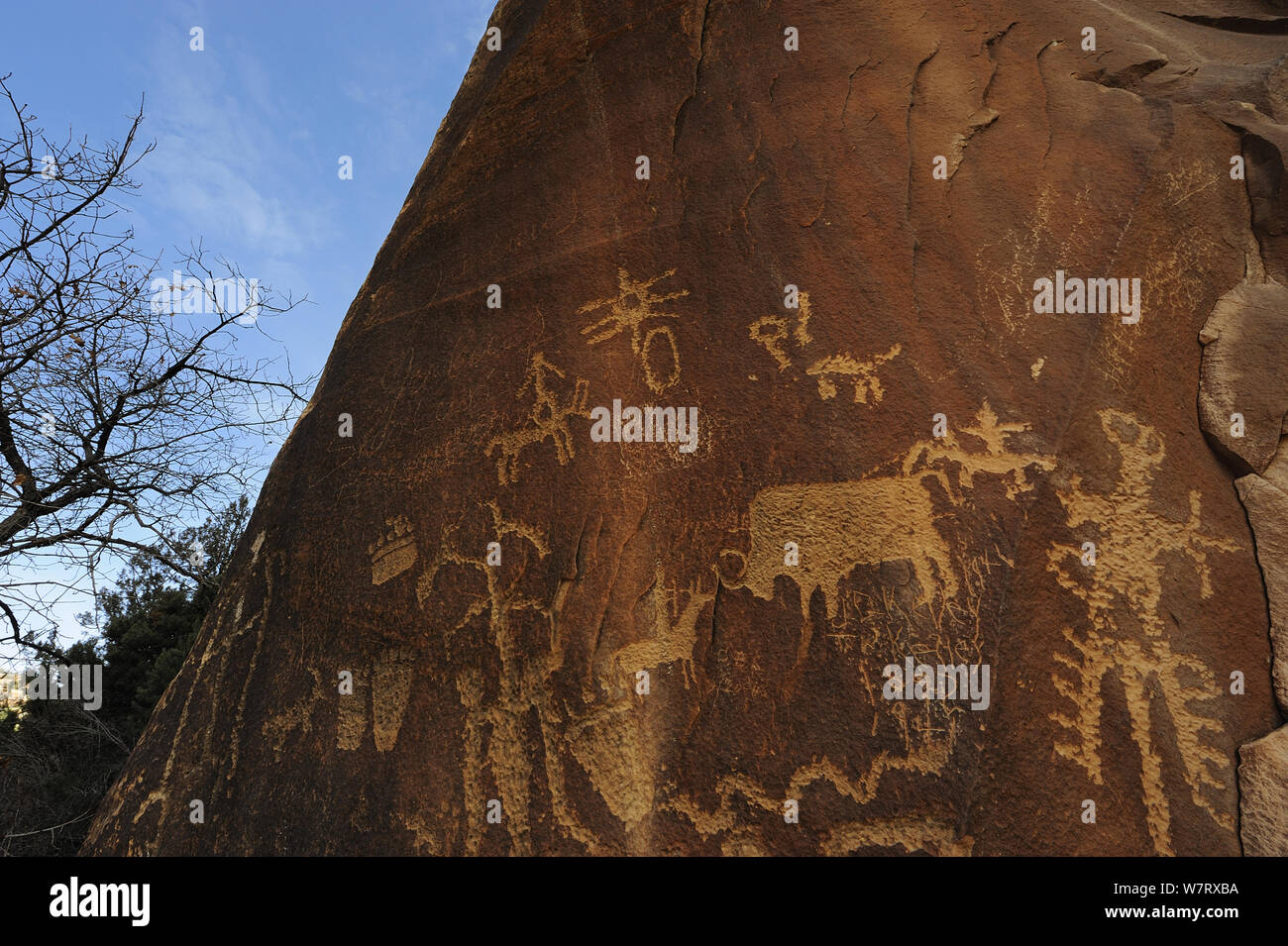 Newspaper Rock, pannello petroglyph incisi nella pietra arenaria, Indian Creek, Utah, USA, dicembre 2012. Foto Stock