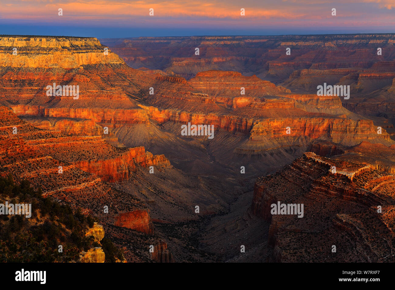 Grand Canyon presso sunrise, South Rim, il Parco Nazionale del Grand Canyon, Arizona, USA, dicembre 2012. Foto Stock