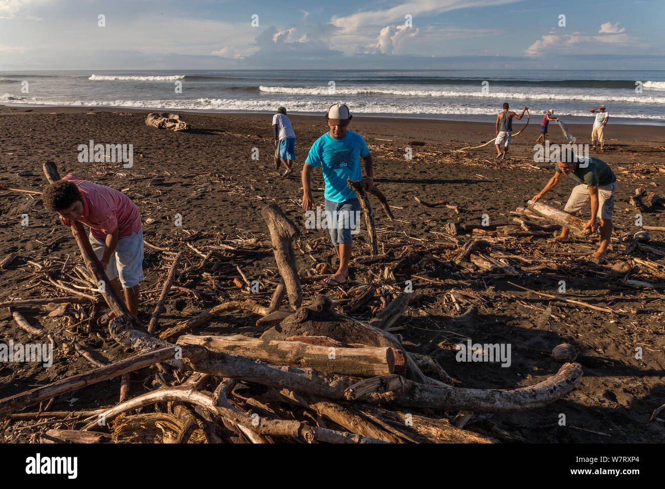 Gli abitanti del villaggio di Ostional pulire la spiaggia di driftwood dopo un forte temporale che le Olive Ridley tartarughe di mare (Lepidochelys olivacea) può deporre le uova durante il prossimo arribada (massa evento nesting) indisturbata, Pacific Coast, Ostional, Costa Rica, novembre 2012. Foto Stock