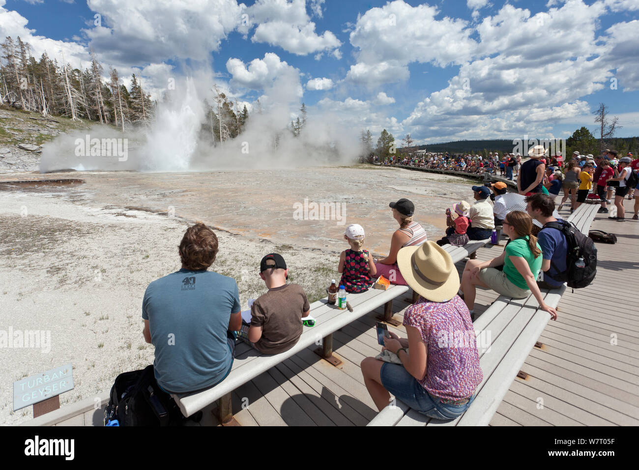 Folla osservando il turbante e geyser gigante nella Upper Geyser Basin del Parco Nazionale di Yellowstone, Wyoming USA, Giugno 2013. Foto Stock