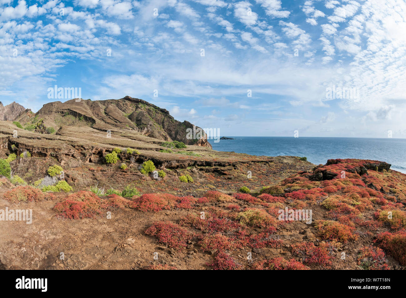 Erosi tufo vulcanico coni, con portulacastrum vegetazione, Punta Pitt, San Cristobal Island, Isole Galapagos, Ecuador. Maggio 2012. Foto Stock