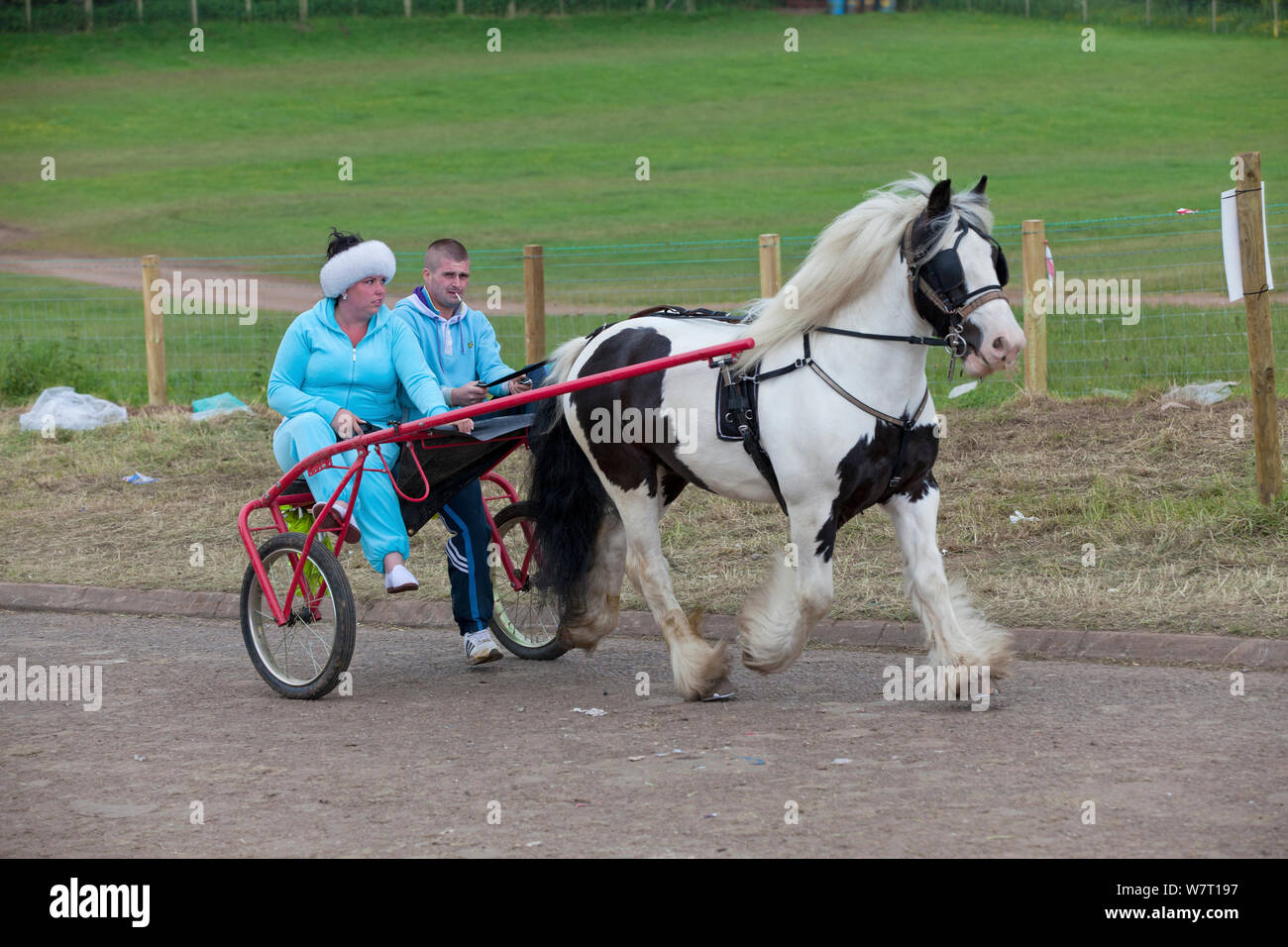Pony di coppia di trazione su un carrello di trotto, Appleby, Yorkshire Foto Stock