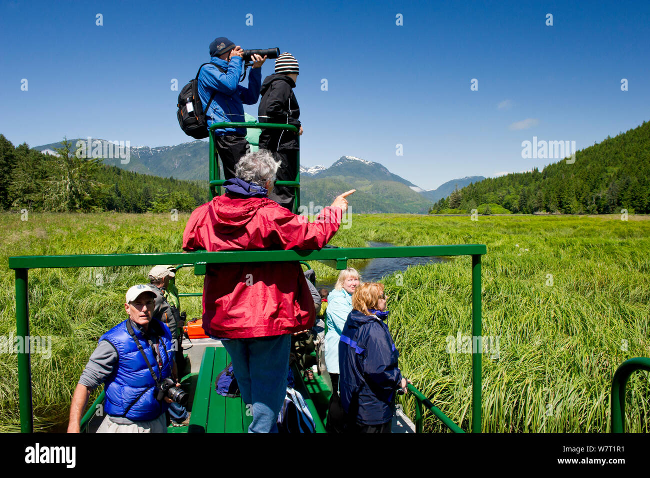 I turisti di guardare un orso grizzly (Ursus arctos horribilis) da un fondo piatto orso bruno guarda la barca. Ingresso del cavaliere, East Coast, Isola di Vancouver, British Columbia, Canada, luglio 2012. Foto Stock