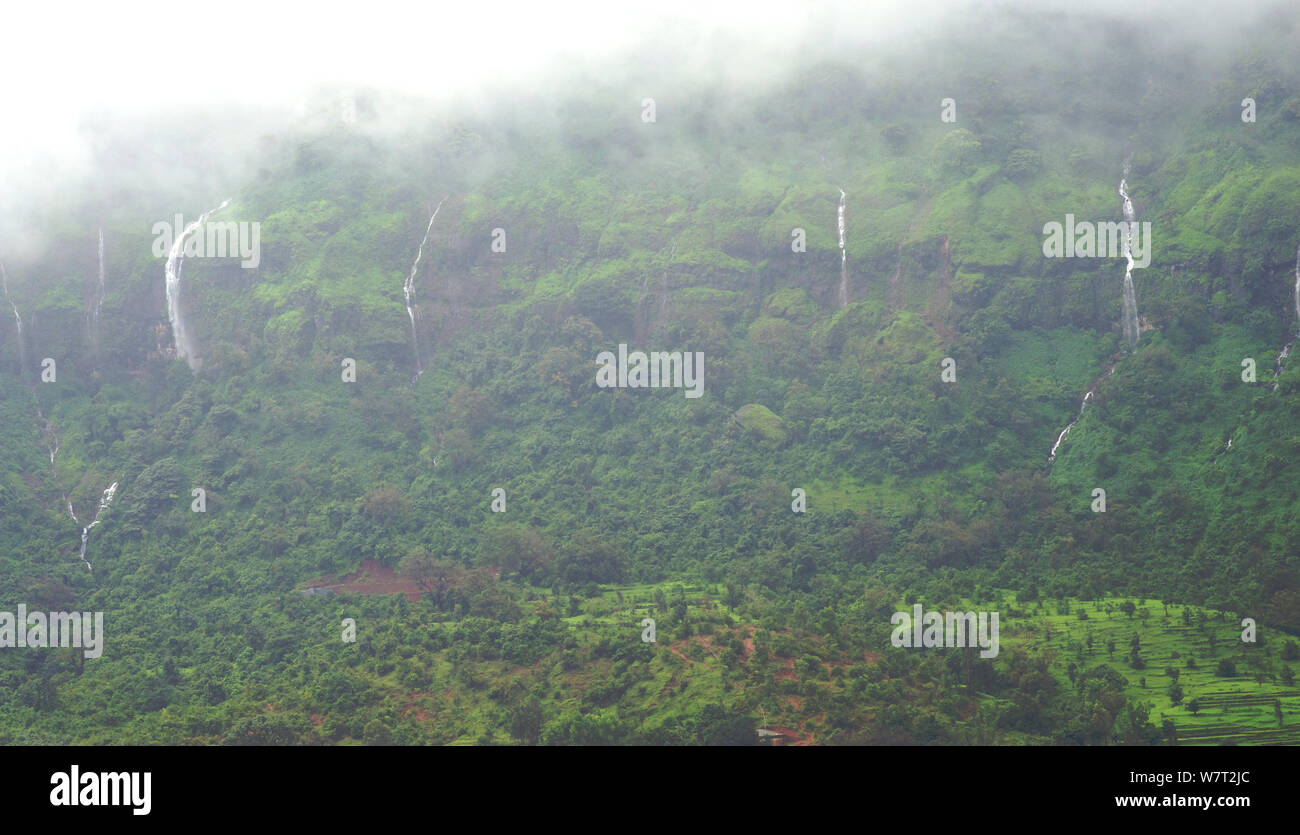 Cascate stagionali durante il monsone. Koyna, i Ghati Occidentali, India, Agosto 2010. Foto Stock