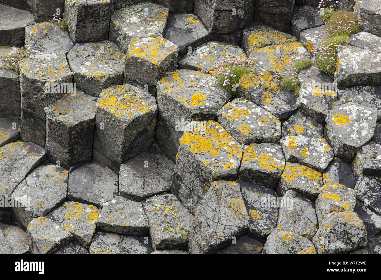 Hexagonal Rocks Italy Roccia basaltica immagini e fotografie stock ad alta risoluzione - Alamy