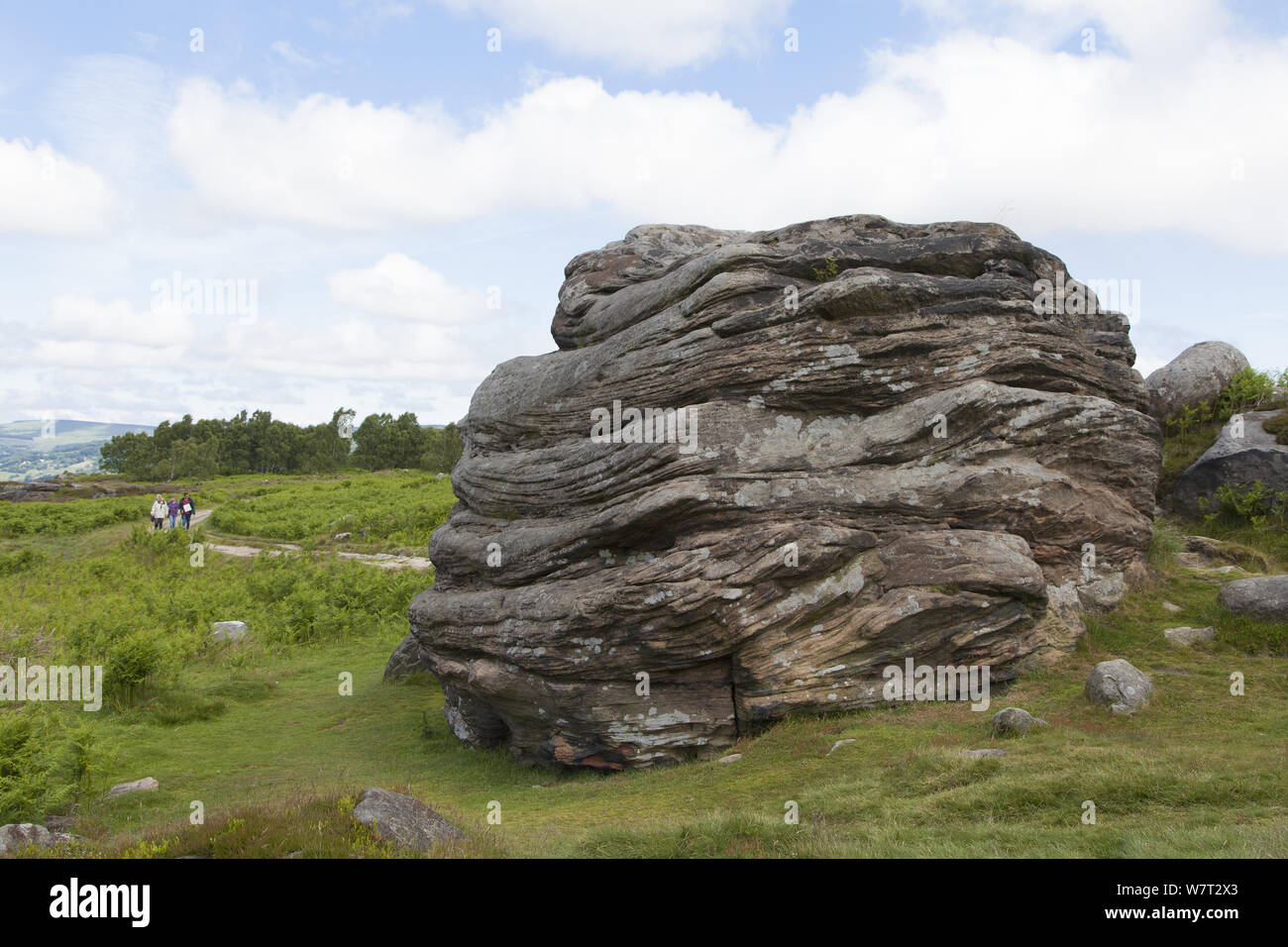 Arenaria spiovente sperone di roccia sul bordo Froggatt, Derbyshire, che mostra i piani di biancheria da letto, England, Regno Unito, Giugno Foto Stock