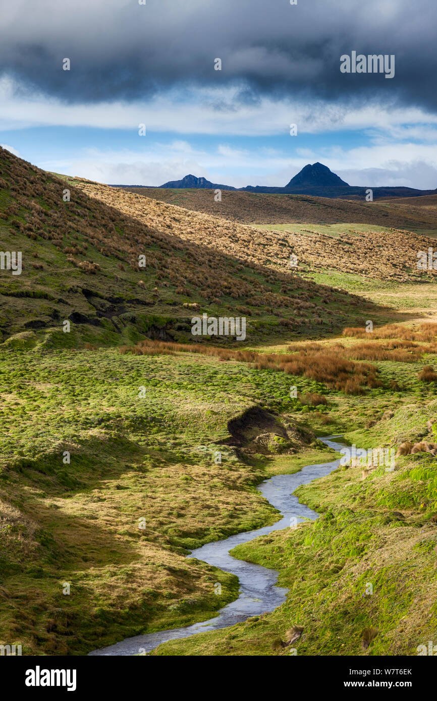 Paesaggio di Antisana Riserva Ecologica, Ecuador, settembre 2010. Foto Stock
