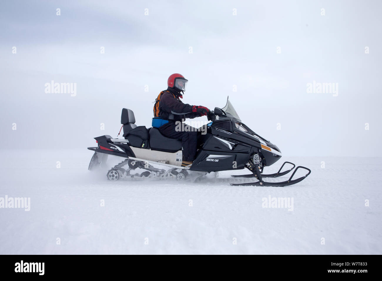 Turisti in motoslitta che viaggiano attraverso il Parco Nazionale di Yellowstone, Wyoming negli Stati Uniti, gennaio 2013. Foto Stock