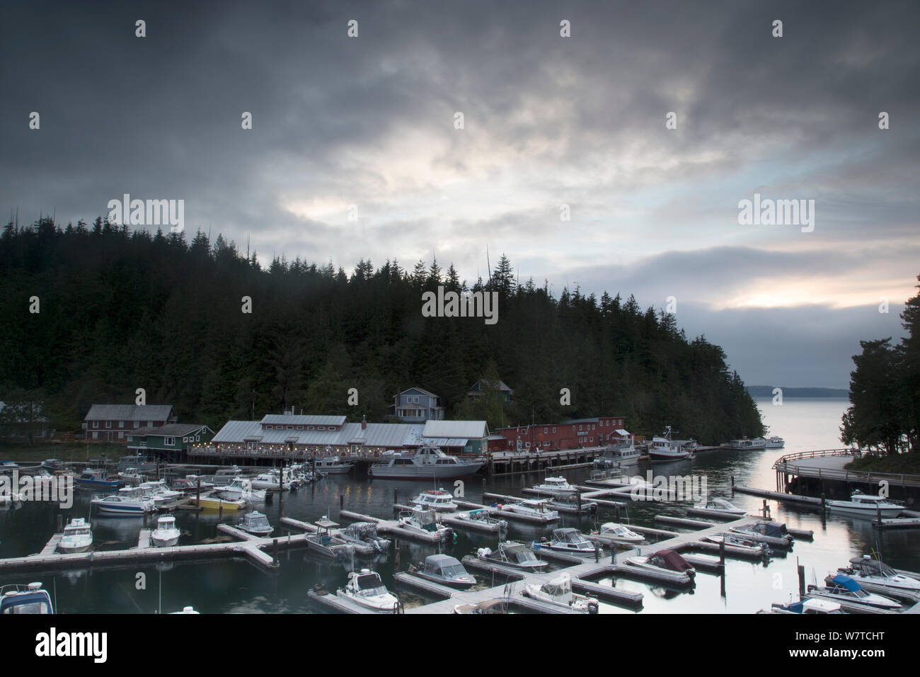 Ultima luce della sera in Telegraph Cove, un piccolo porto nella parte settentrionale dell'isola di Vancouver, British Columbia, Canada, Agosto. Foto Stock