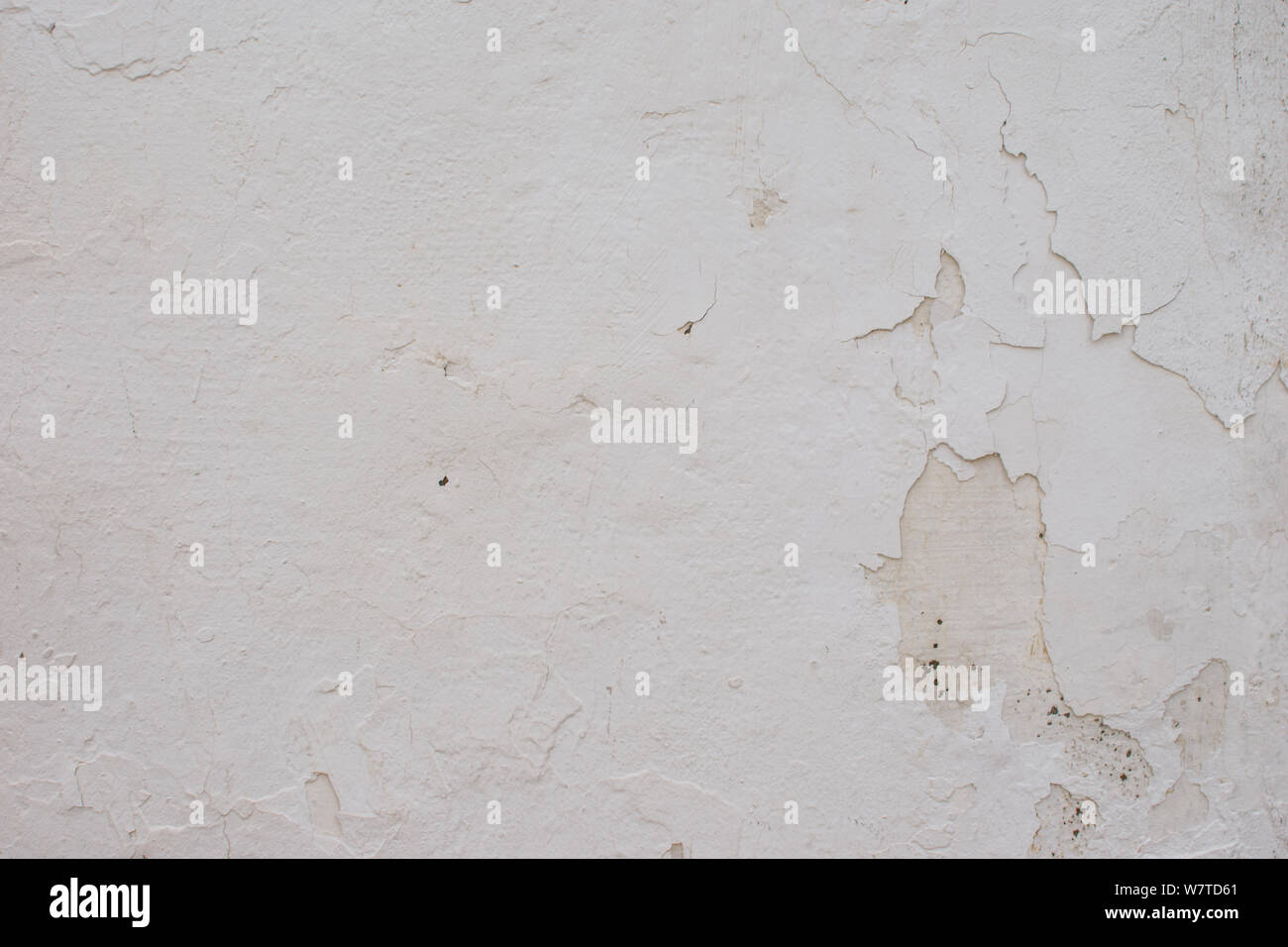 Muro Bianco di gesso, grande per la progettazione e la consistenza dello sfondo. Foto Stock