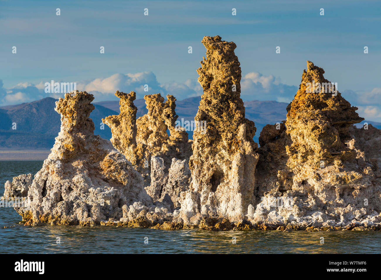 Le formazioni rocciose a mono lago salino lago di soda, Mono County, California, USA, marzo 2013. Foto Stock