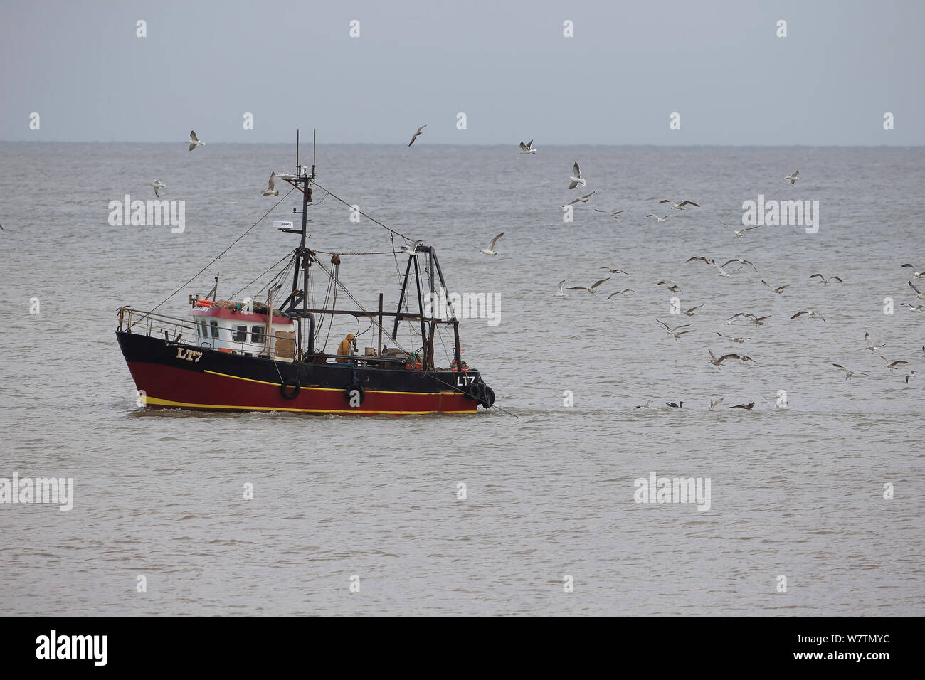 Trawler imbarcazione della costa, Norfolk, Inghilterra, Regno Unito, ottobre 2013 Foto Stock
