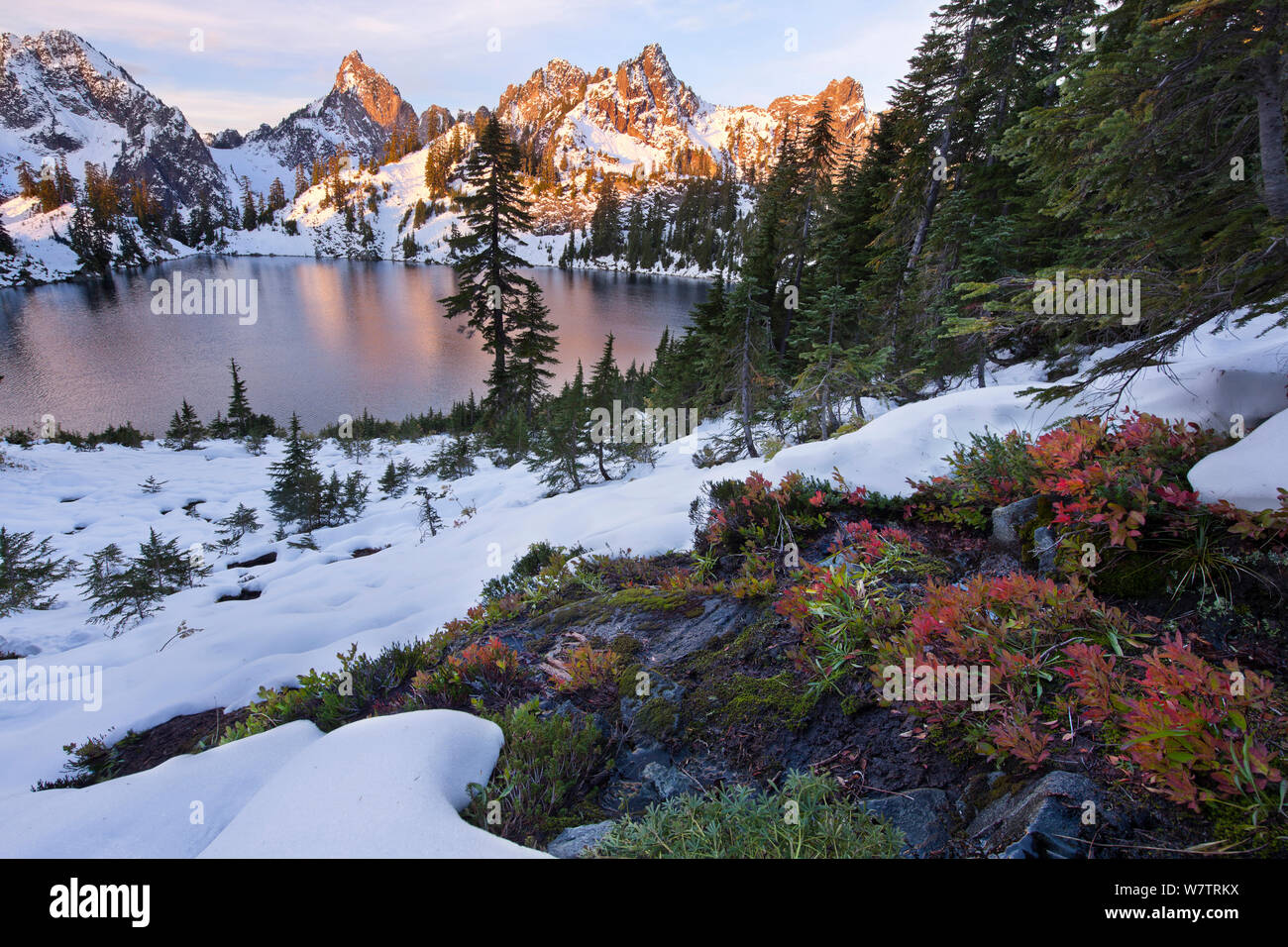 I colori autunnali delle piante che mostra attraverso un inizio di nevicate invernali in Alpine Lakes Wilderness, con picco Kalteen e Gem Lake, Washington, USA, ottobre 2013. Foto Stock