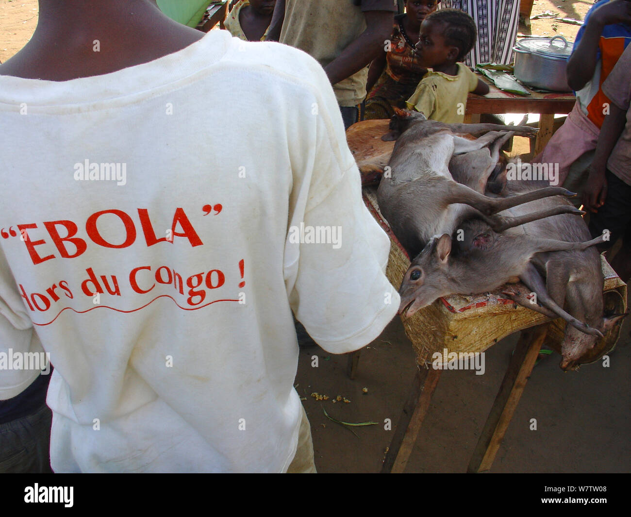 Cefalofo azzurro (Cephalophus monticola) carne per la vendita al mercato. Mbomo, Odzala-Kokoua National Park, Repubblica del Congo, maggio 2005, con un uomo che indossa 'Ebola hors du Congo" t-shirt durante il virus Ebola focolaio Foto Stock