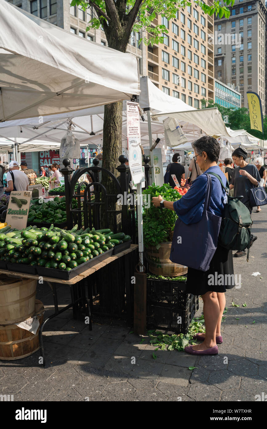 Union Square mercato, vista in estate di una donna shopping nel regolare mercato degli agricoltori tenutasi a Union Square, Manhattan, New York City, Stati Uniti d'America. Foto Stock