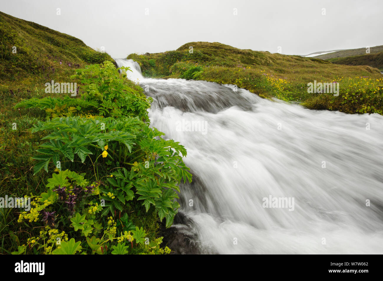 Piccola cascata, Hornstrandir, Westfjords, Islanda, luglio 2012. Foto Stock