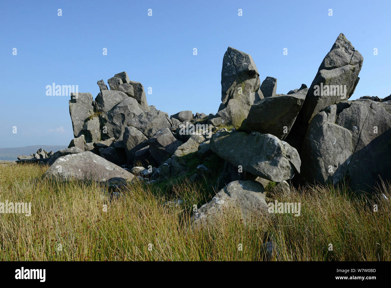 In frantumi di roccia dolerite su Carn Menyr, una sorgente per le pietre blu a Stonehenge, Preseli Hills, Pembrokeshire, Wales, Regno Unito, Agosto. Foto Stock