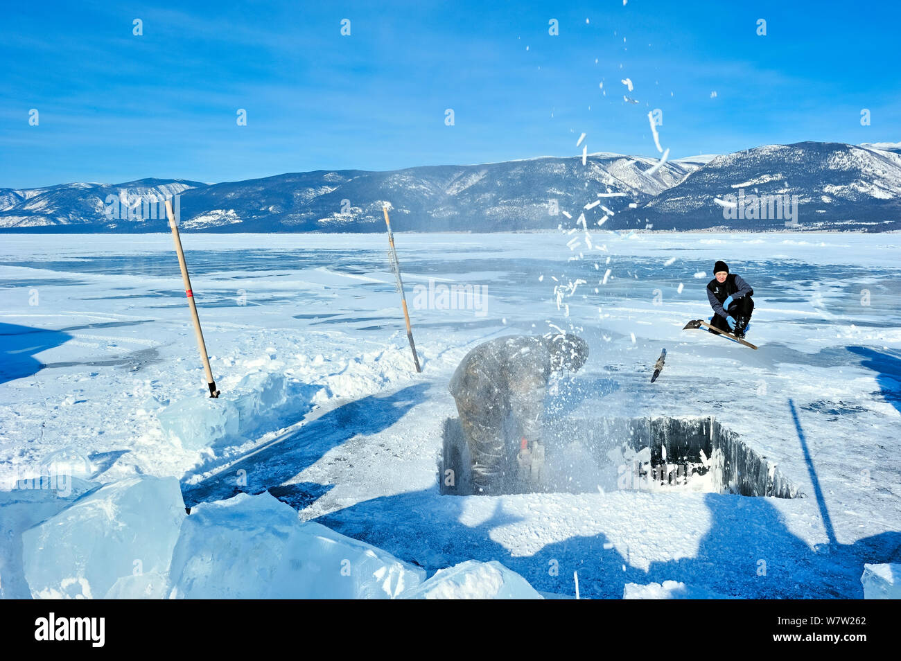 La gente di scavare un foro quadrato tramite thick Lago Baikal ghiaccio per immersioni sotto il ghiaccio, il lago Baikal, Siberia, Russia, Marzo. Foto Stock