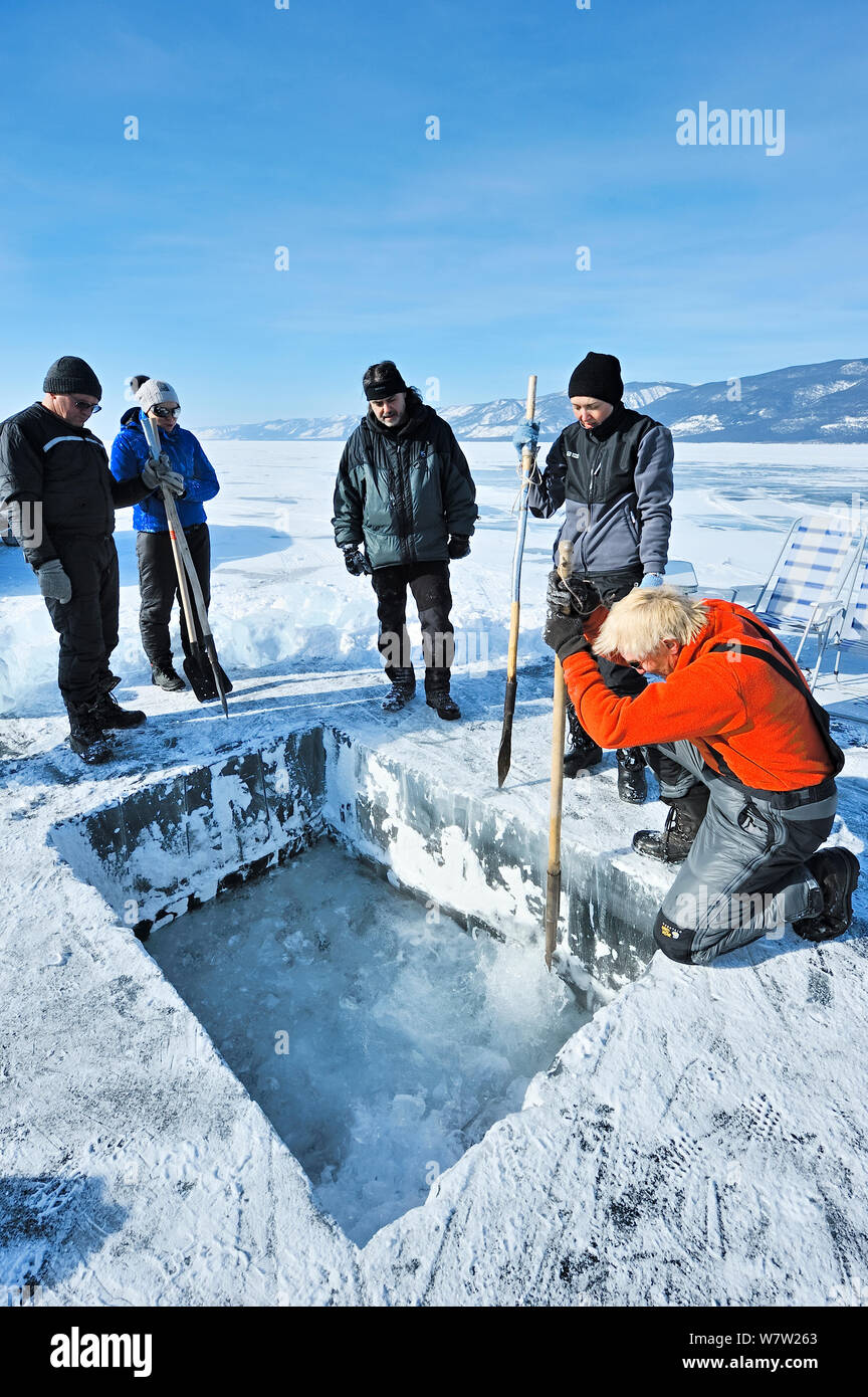 La gente di scavare un foro quadrato tramite thick Lago Baikal ghiaccio per immersioni sotto il ghiaccio, il lago Baikal, Siberia, Russia, Marzo. Foto Stock