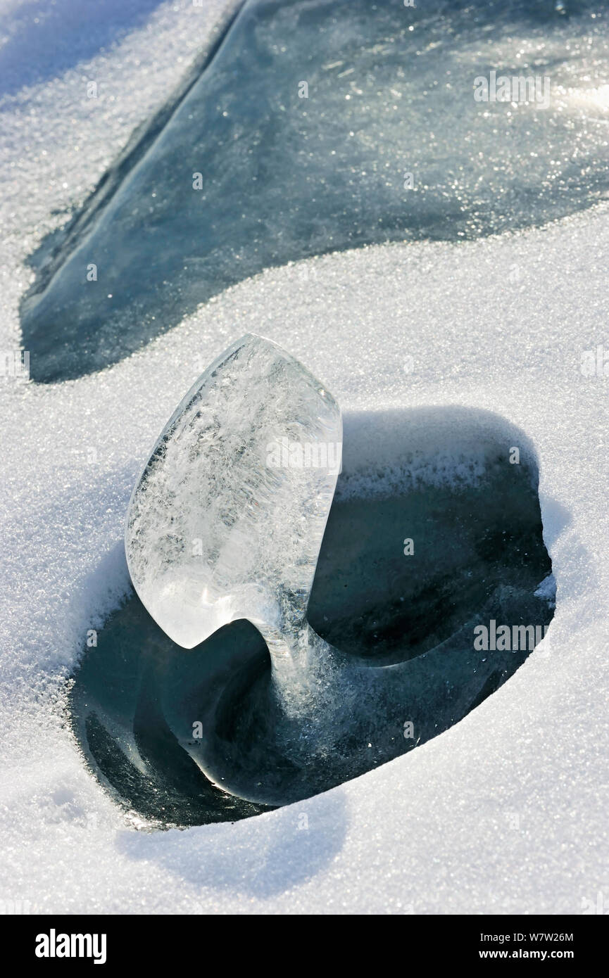 Vaso di ghiaccio / ice spike formando nel foro della neve, Lago Baikal, Siberia, Russia, Marzo. Foto Stock